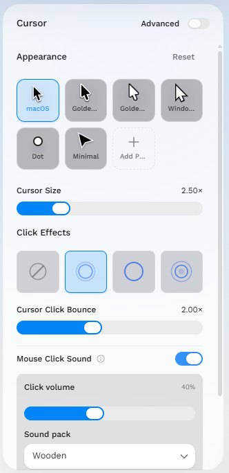 Cursor settings